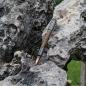 Preview: Bolt Action II Next Pen V2 Cal 30 Gunmetall