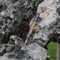 Preview: Bolt Action Pen V2 Cal 30 Gunmetall