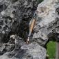Preview: Bolt Action Pen V2 Cal 30 Gunmetall