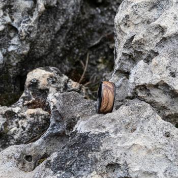 Edelstahlring Buche